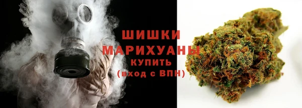 PSILOCYBIN Гусь-Хрустальный