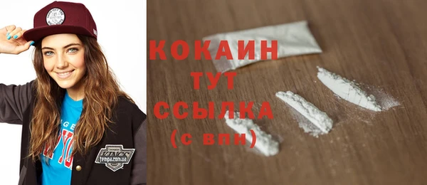 PSILOCYBIN Гусь-Хрустальный