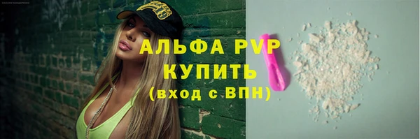 PSILOCYBIN Гусь-Хрустальный
