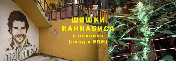 PSILOCYBIN Гусь-Хрустальный