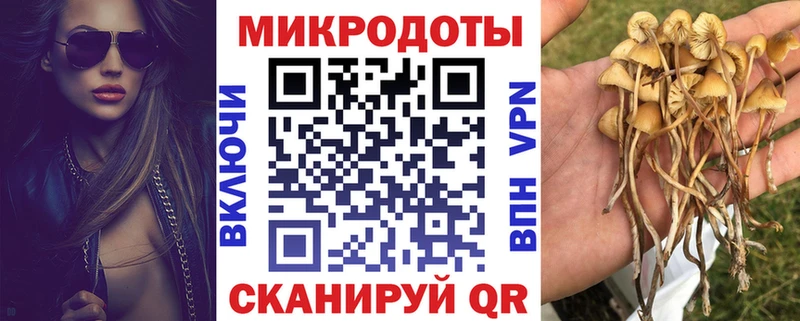 Купить где  Инза  Псилоцибиновые грибы мухоморы 